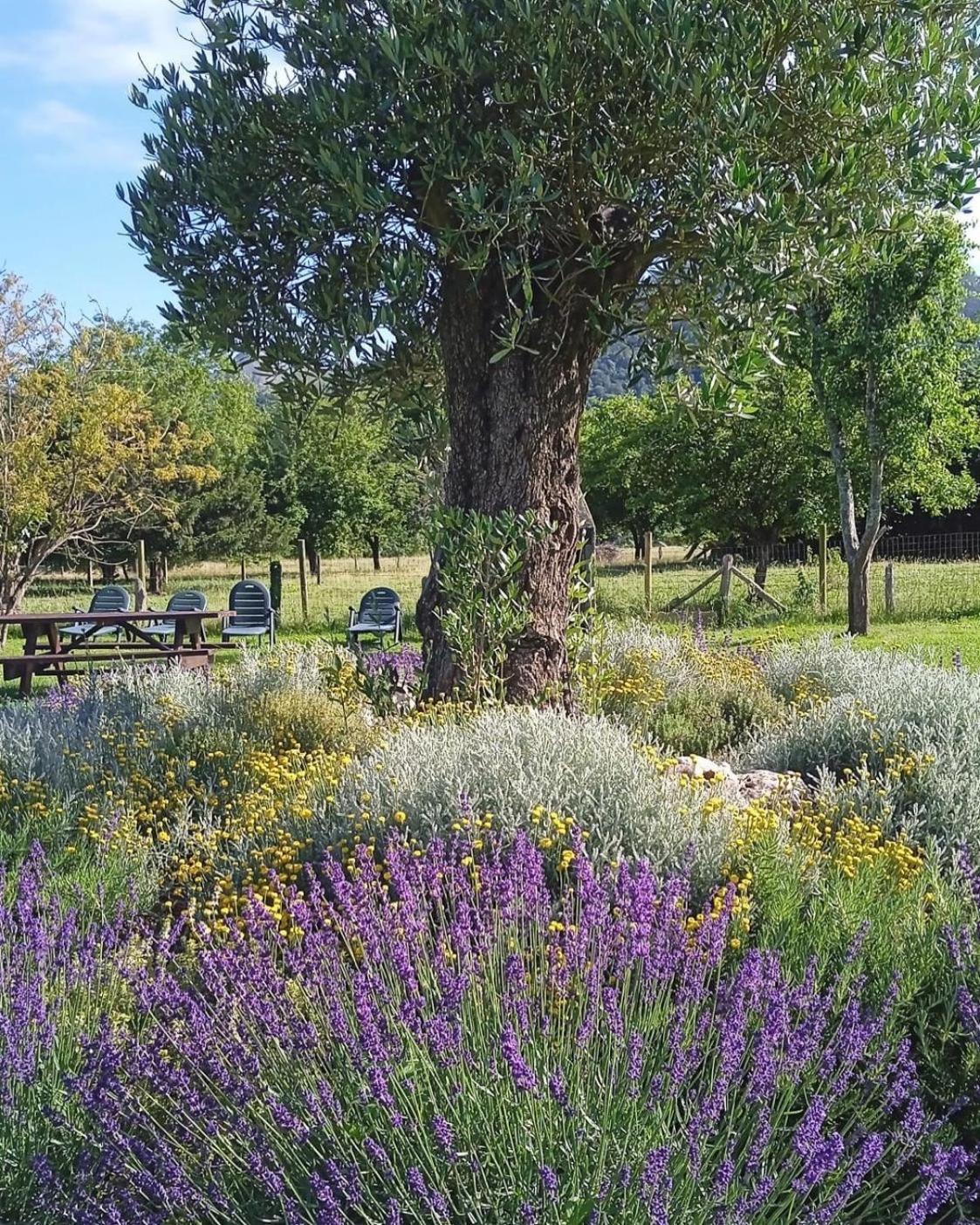 Casa Rural Nasares San Juan de Parres Екстериор снимка
